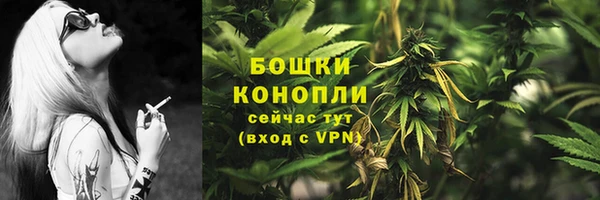 PSILOCYBIN Алзамай