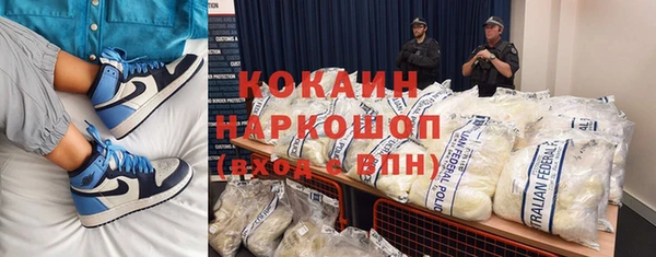 PSILOCYBIN Алзамай
