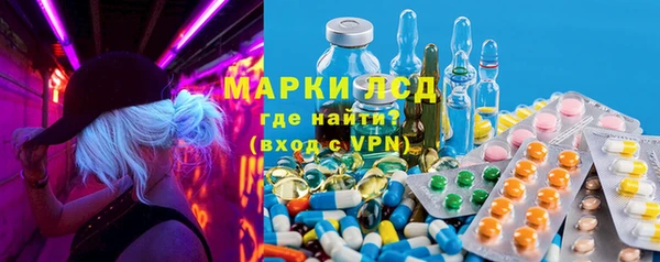 PSILOCYBIN Алзамай