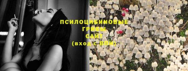 PSILOCYBIN Алзамай