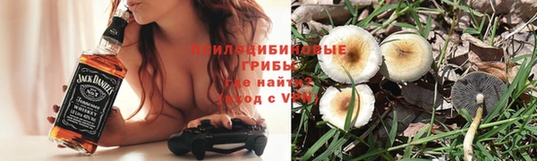 мяу мяу мука Алексин