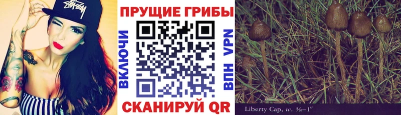 Псилоцибиновые грибы MAGIC MUSHROOMS  KRAKEN как войти  Мещовск  наркошоп 